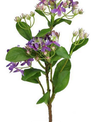 Wild Mini Hydrangea Pick (2-Colors)
