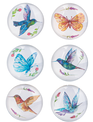 Set of 6 Hummingbird & Butterfly Magnets