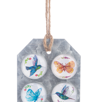 Set of 6 Hummingbird & Butterfly Magnets