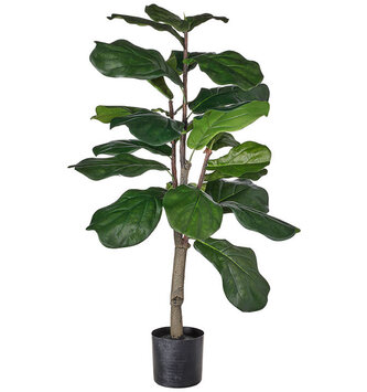 3' Potted Fiddle Leaf Fig Tree