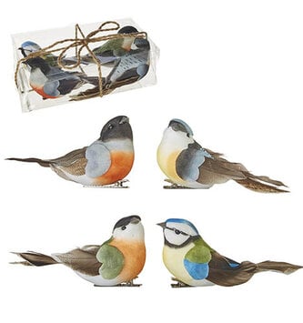 3.75" Box of Clip on Feathered Birds