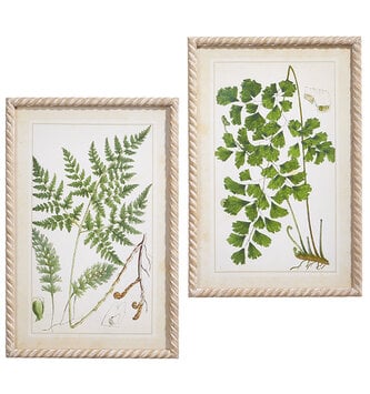 Set of 2 Botanical Framed Prints