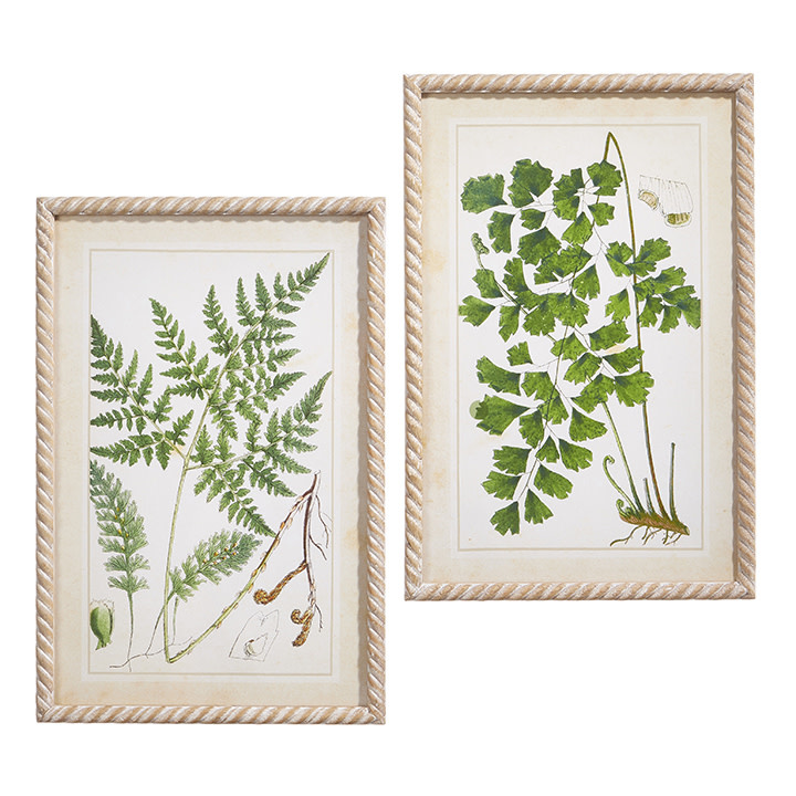 Set of 2 Botanical Framed Prints