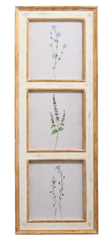 38" Botanical Framed Print