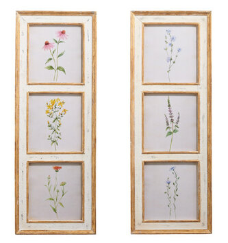 38" Botanical Framed Print (2-Styles)