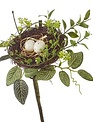 10" Birds Nest with Eggs