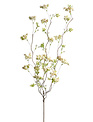 White Sedum Berry Branch