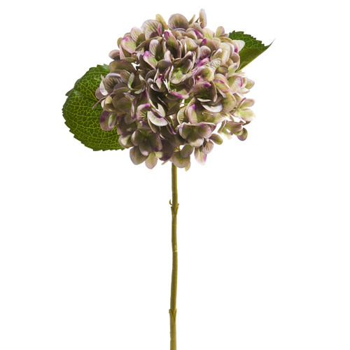 18" Green Purple Hydrangea Stem
