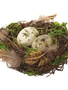 Bird Nest w/ Feathers & Eggs