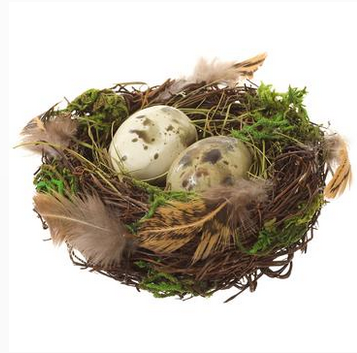 Bird Nest w/ Feathers & Eggs