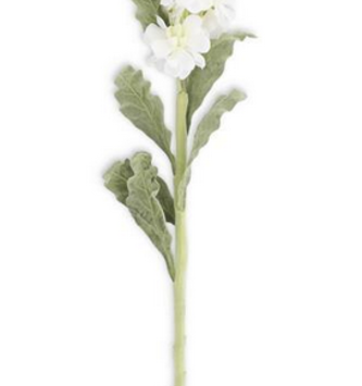 30" White Stock Flower Stem