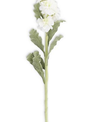 30" White Stock Flower Stem