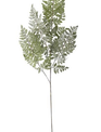 36" Real Touch Royal Fern Stem