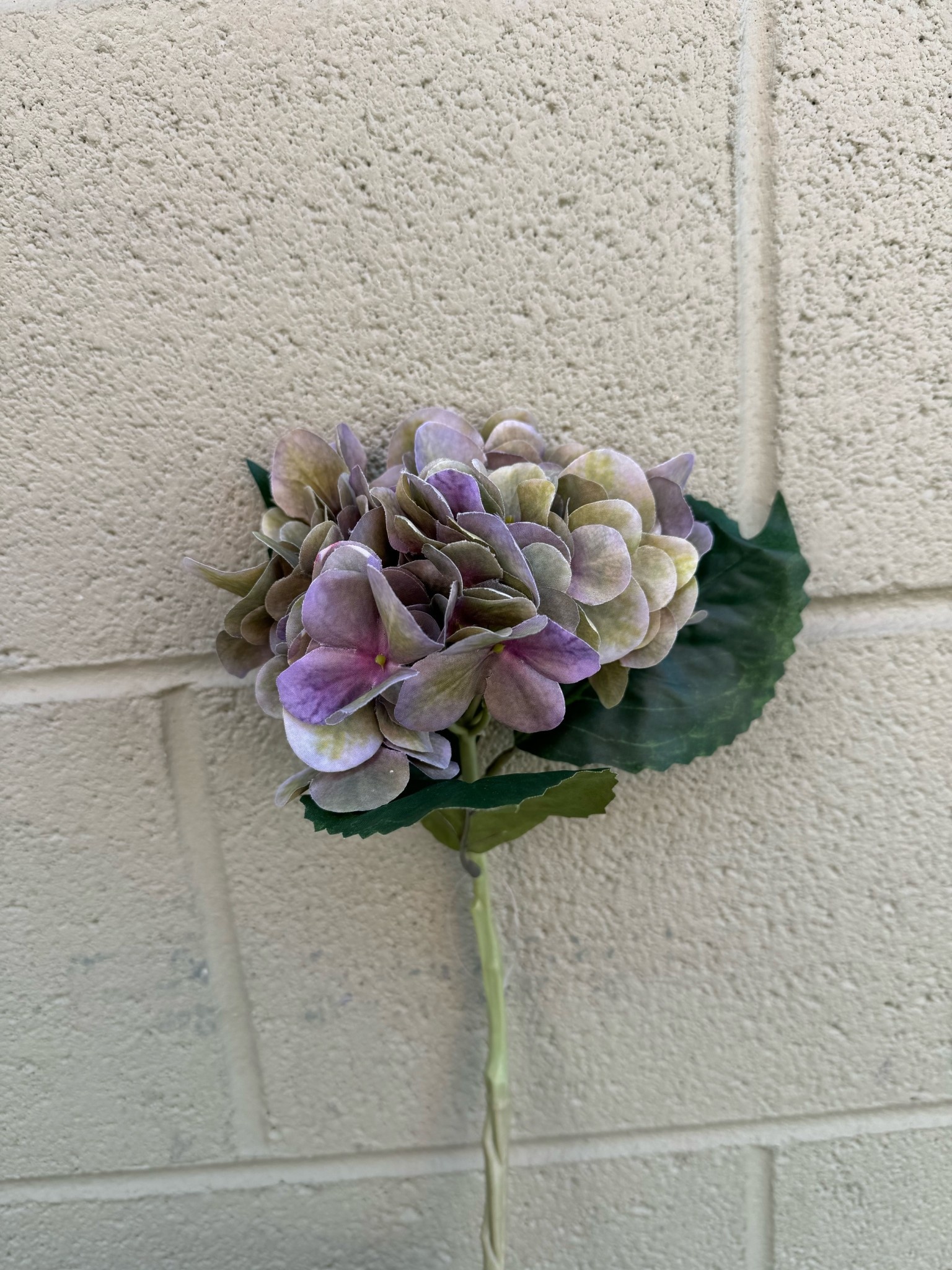 13.7" Variegated Hydrangea (3-Colors)