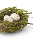 5.5" Bird Nest w/ 2 Eggs