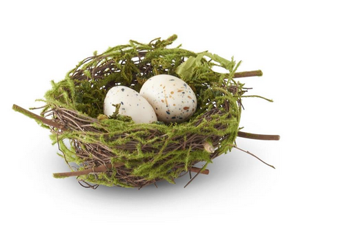 5.5" Bird Nest w/ 2 Eggs