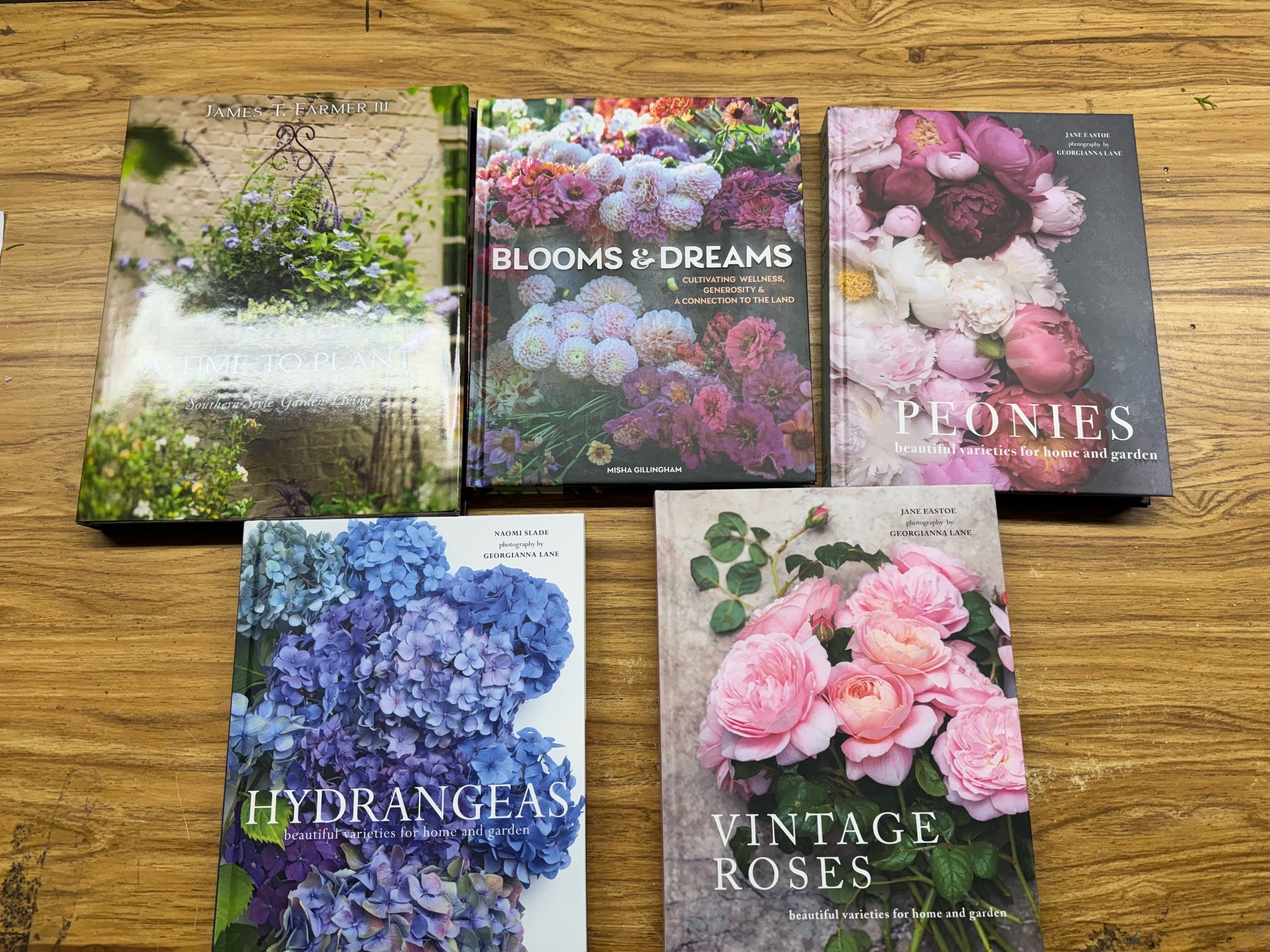 Botanical Beauty in Full Bloom Book