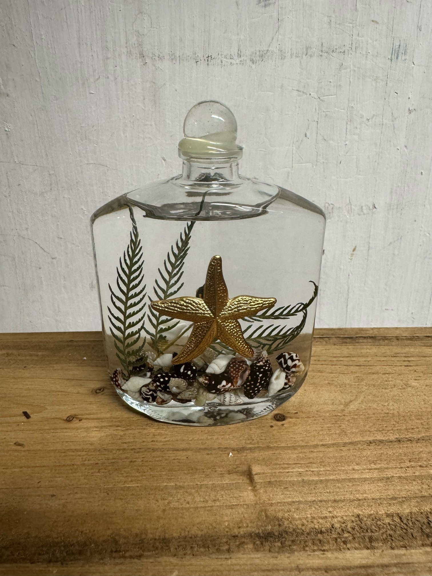 Seashell Lifetime Oil Candle (9-Styles)