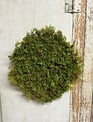 Faux Green Moss Mat (2-Sizes)