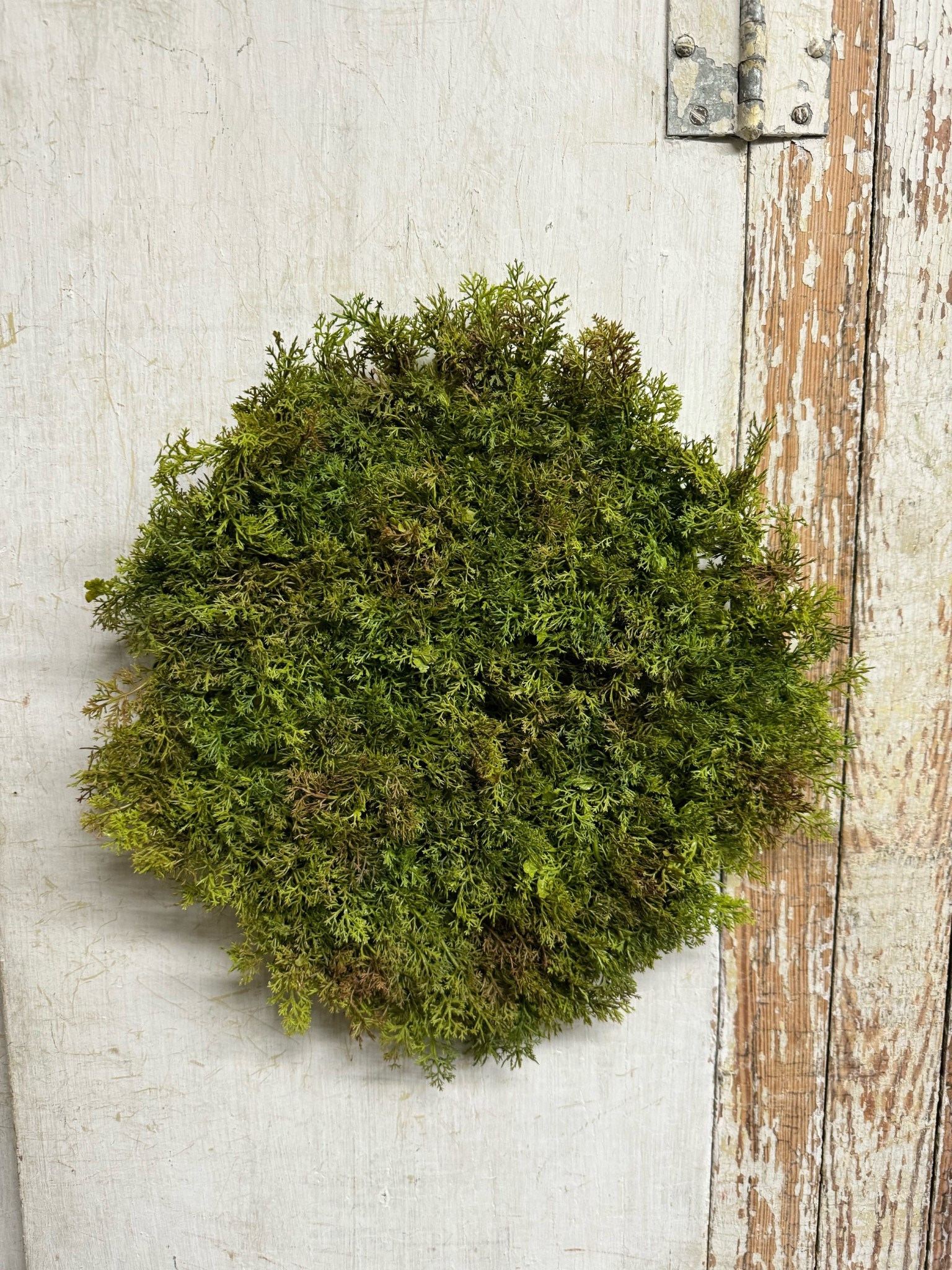 Faux Green Moss Mat (2-Sizes)