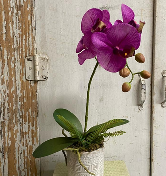 Custom Purple Phalaenopsis Orchid Pot