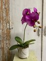 Custom Purple Phalaenopsis Orchid Pot