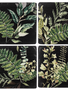 Set of 4 Fern Coasters