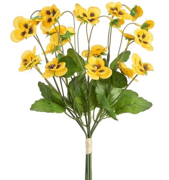 Garden Pansy Bundle (3 Colors)
