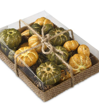 Box of 24 Assorted Pumpkins & Gourds