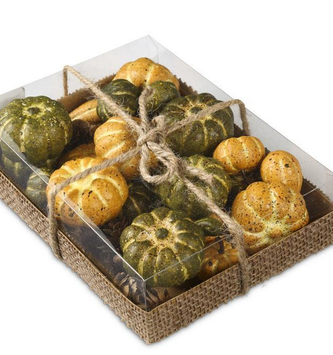 Box of 24 Assorted Pumpkins & Gourds
