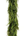 6-ft x 16" Natural Touch Norfolk Pine Garland