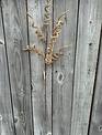 33" Burlap Curly Spray