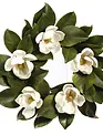 16" White Magnolia Bloom Wreath