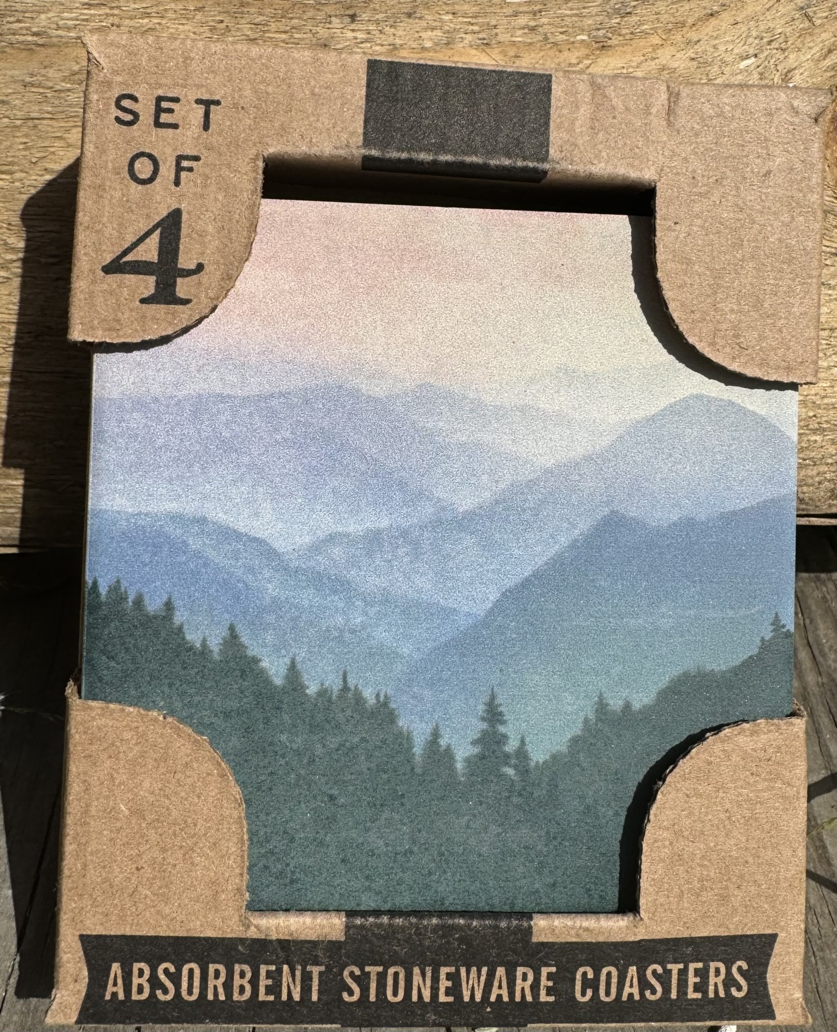 Set of 4 Watercolor Mountain Coasters