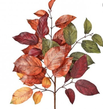 Autumn Salal Leaf Pick