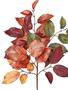 Autumn Salal Leaf Pick