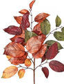 Autumn Salal Leaf Pick