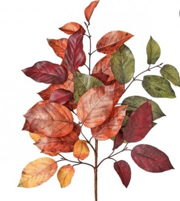 Autumn Salal Leaf Pick