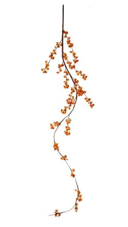 83" Wild Bittersweet Vine