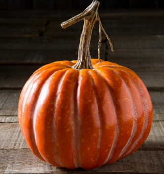 6" Harvest Orange Pumpkin