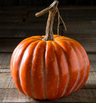 6" Harvest Orange Pumpkin