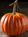 6" Harvest Orange Pumpkin