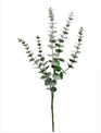 Flocked Eucalyptus Spray