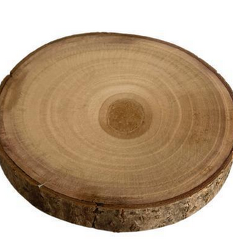 Round Paulowina Wood Slice (3-Sizes)
