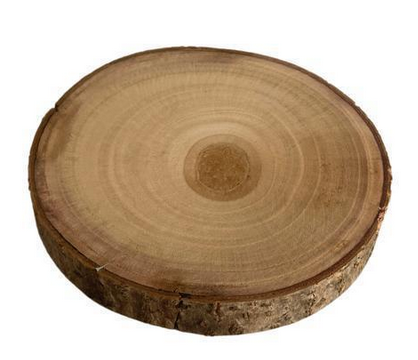 Round Paulowina Wood Slice (3-Sizes)