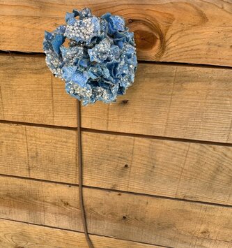 Blue Crystal Hydrangea Stem