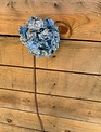 Blue Crystal Hydrangea Stem