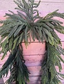8' Norfolk Pine Garland