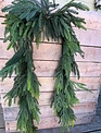 8' Norfolk Pine Garland