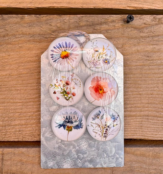 Set of 6 Wildflower Magnets